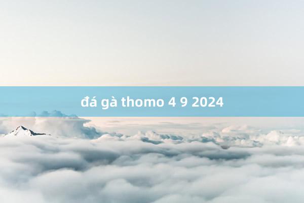 đá gà thomo 4 9 2024