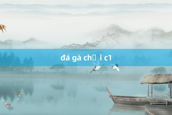 đá gà chọi c1