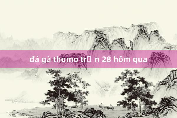 đá gà thomo trận 28 hôm qua