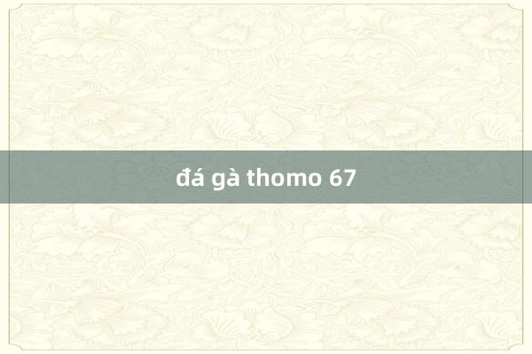 đá gà thomo 67