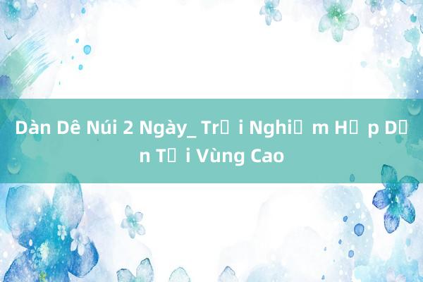 Dàn Dê Núi 2 Ngày_ Trải Nghiệm Hấp Dẫn Tại Vùng Cao