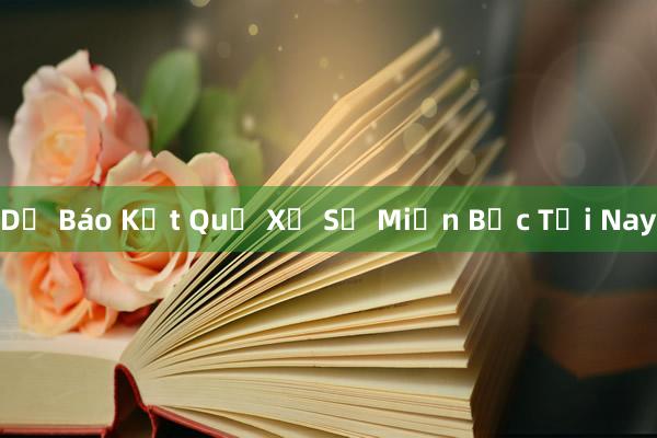 Dự Báo Kết Quả Xổ Số Miền Bắc Tối Nay