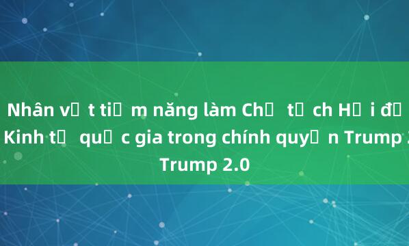 Nhân vật tiềm năng làm Chủ tịch Hội đồng Kinh tế quốc gia trong chính quyền Trump 2.0