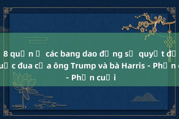 8 quận ở các bang dao động sẽ quyết định cuộc đua của ông Trump và bà Harris - Phần cuối