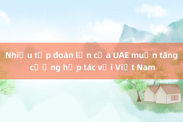 Nhiều tập đoàn lớn của UAE muốn tăng cường hợp tác với Việt Nam