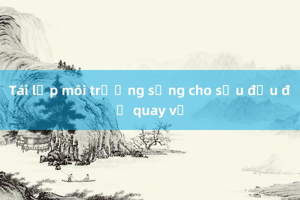 Tái lập môi trường sống cho sếu đầu đỏ quay về