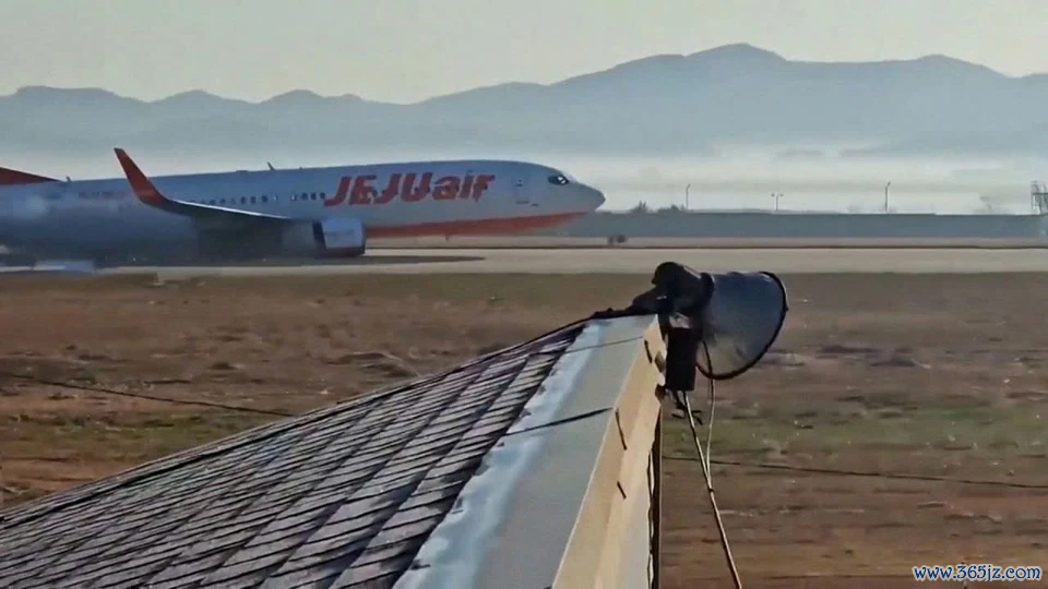 may bay jeju air anh 2